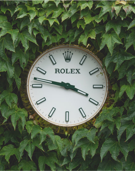 A Rolex clock is embedded in a wall covered with green ivy leaves.
