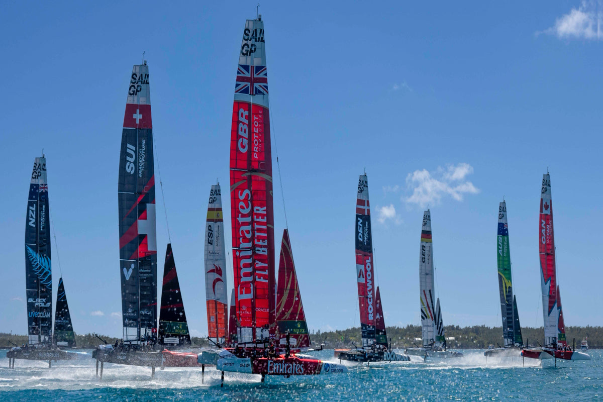 Several sailboats with tall, colorful sails race on the water under a clear blue sky.