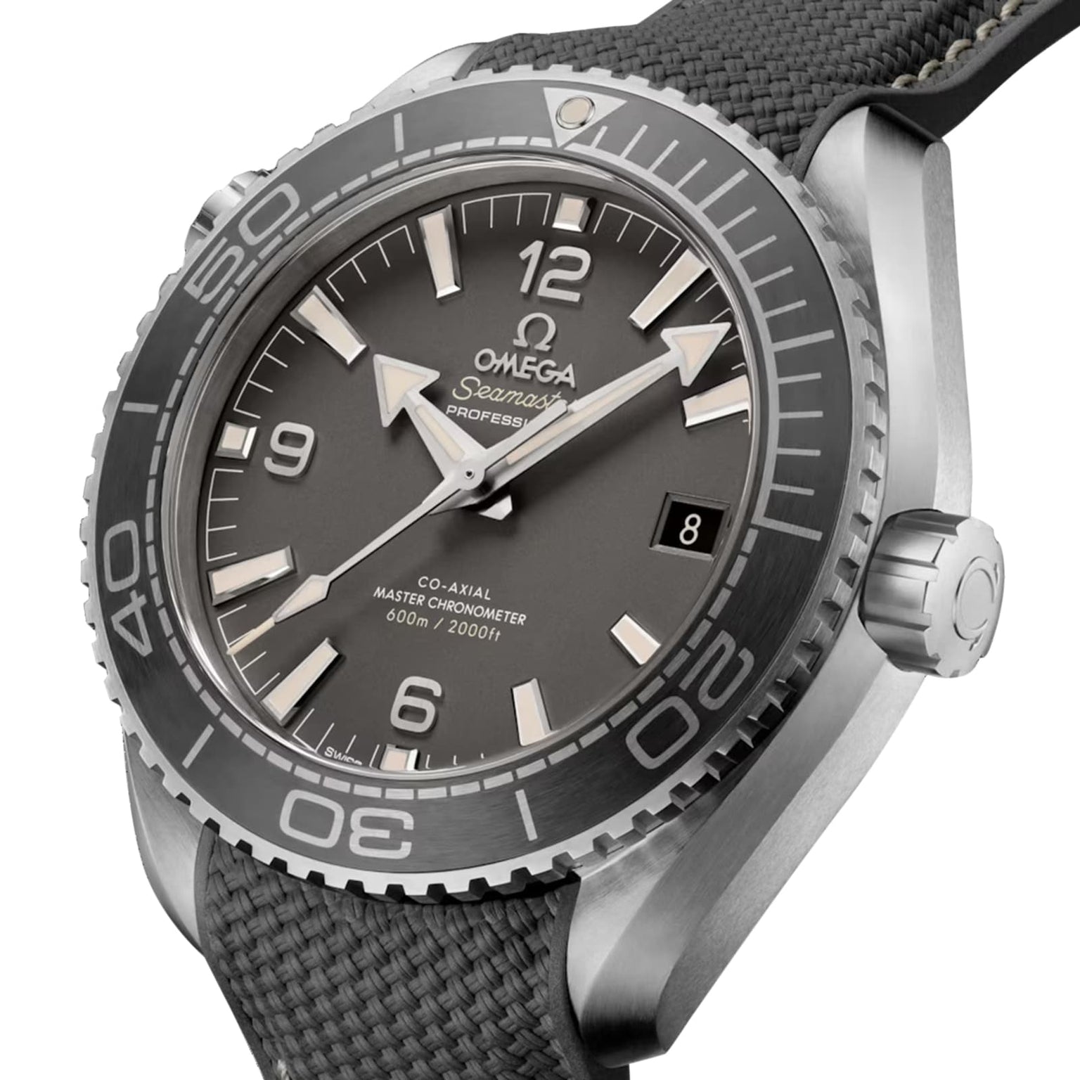 A close-up of the OMEGA Seamaster Planet Ocean 600M dive watch with a gray dial, bold white hour markers, and a textured black strap emphasizes its Co-Axial Master Chronometer precision.