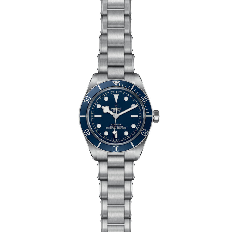 The TUDOR Black Bay 58 is a stainless steel dive watch featuring a blue bezel and dial, silver hour markers, and a metal link bracelet—showcasing the brand’s signature style.