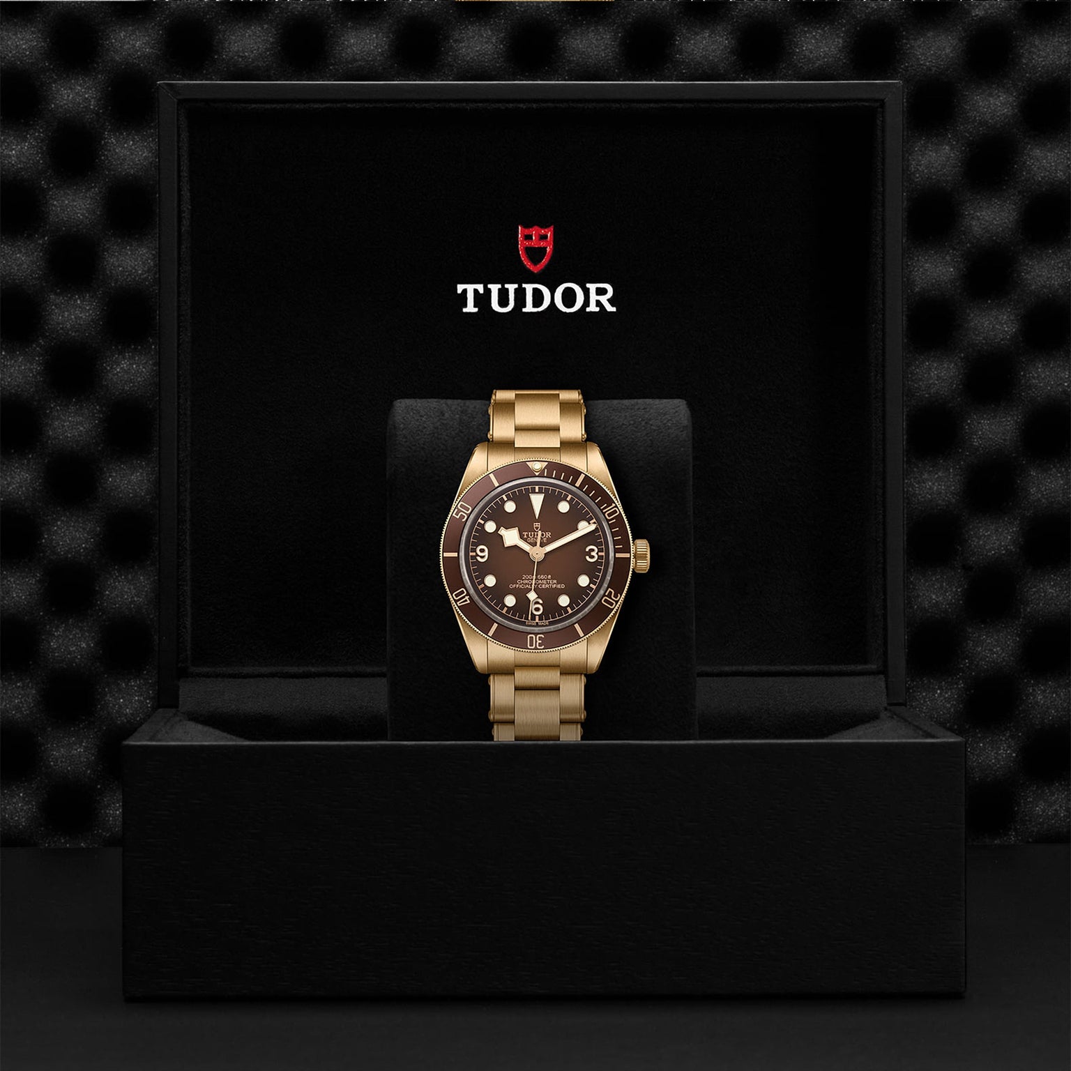 A TUDOR Black Bay 58 Bronze wristwatch with a brown dial and bezel, crafted in bronze, is displayed upright in an open black presentation box labeled TUDOR.
