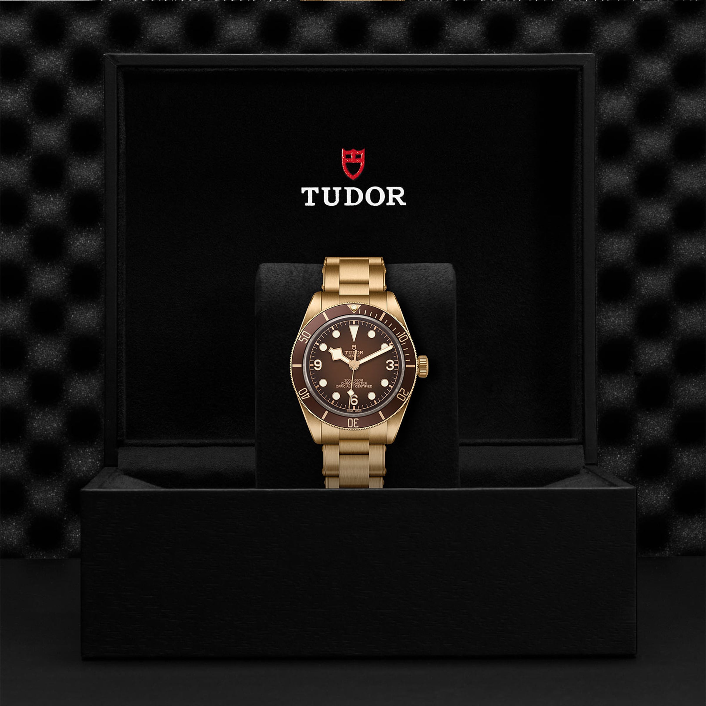 A TUDOR Black Bay 58 Bronze wristwatch with a brown dial and bezel, crafted in bronze, is displayed upright in an open black presentation box labeled TUDOR.
