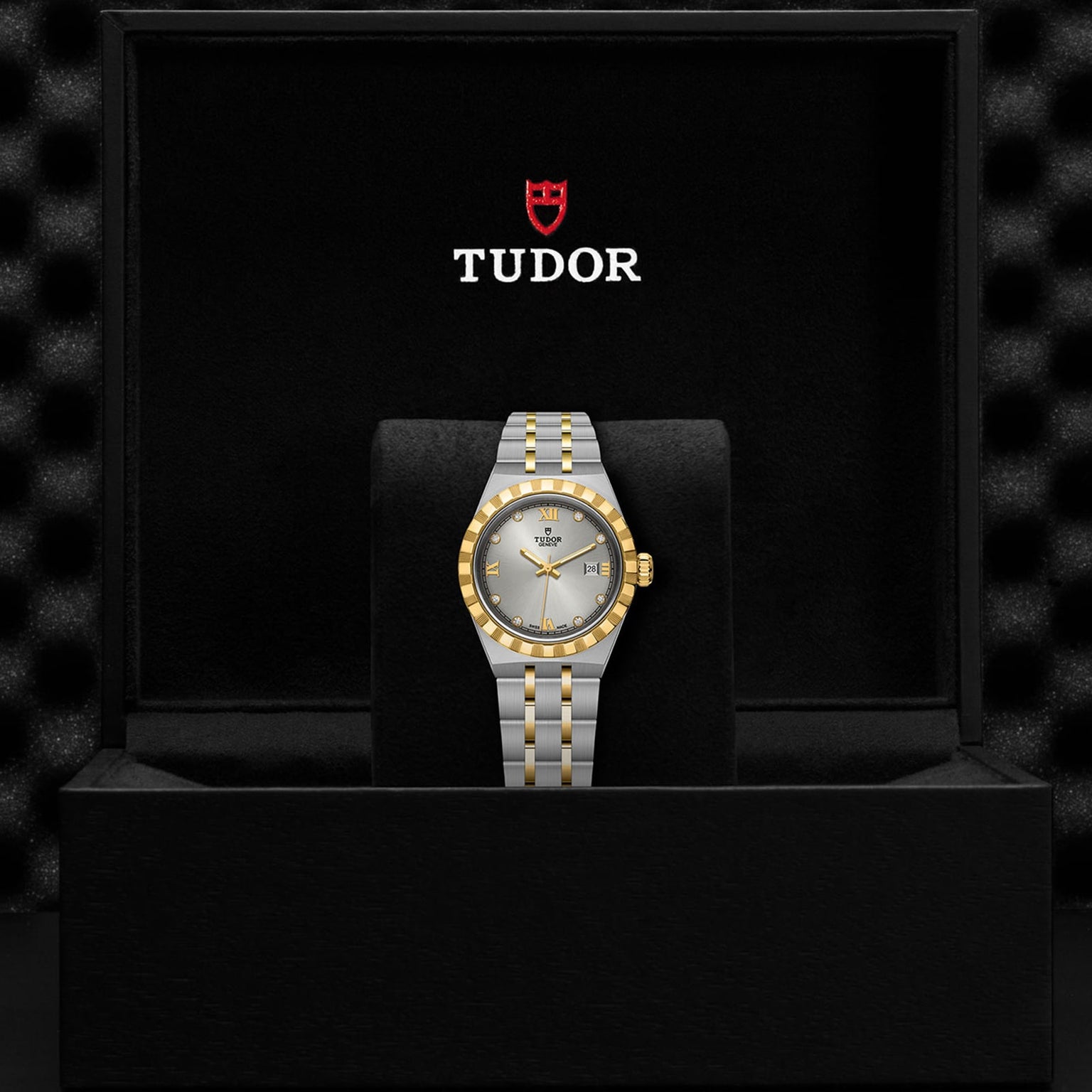 A two-tone TUDOR Royal wristwatch is displayed in a black case featuring the TUDOR logo above it.