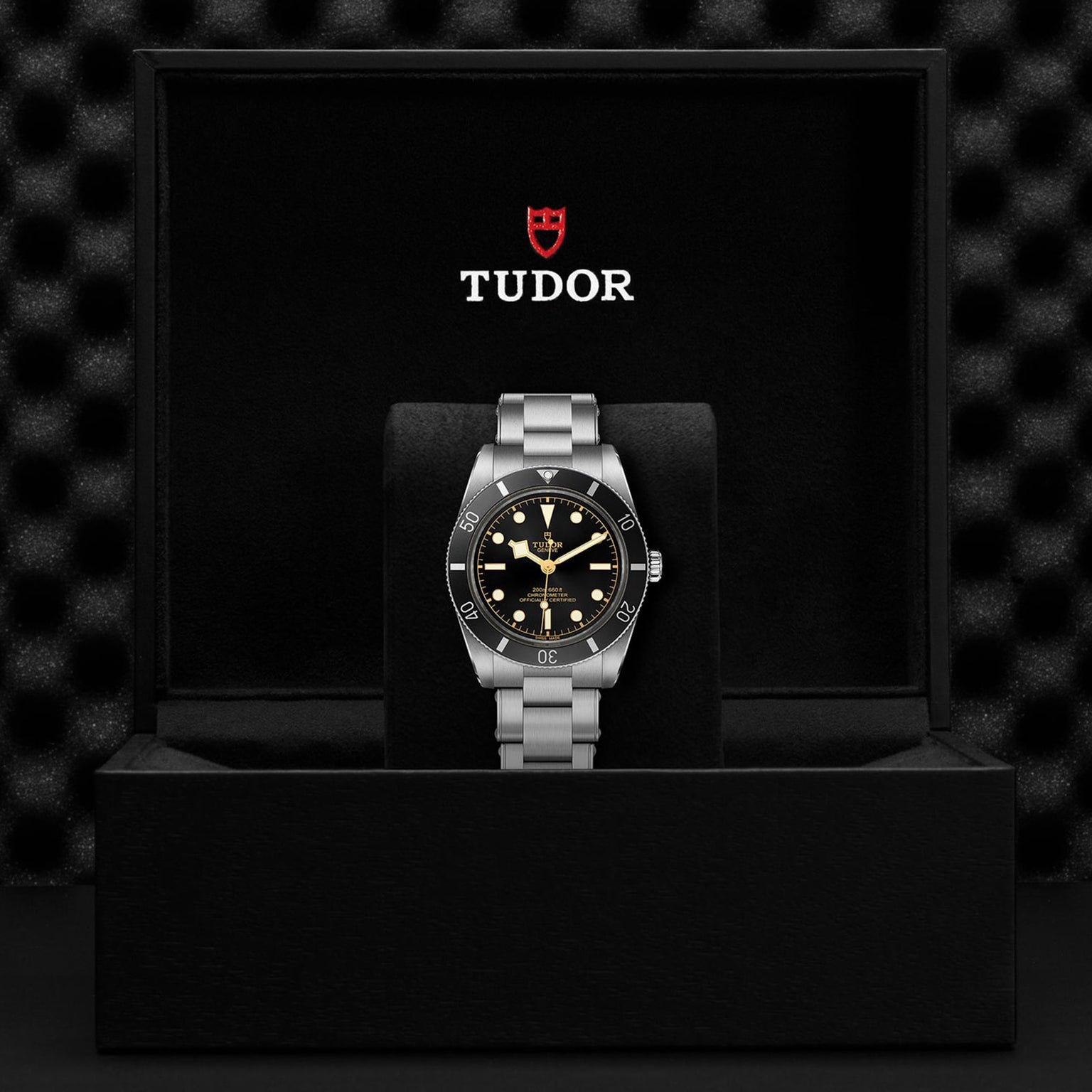 A TUDOR Black Bay 54 dive watch with a black dial and stainless steel band is displayed upright in a black, Tudor-branded presentation box.