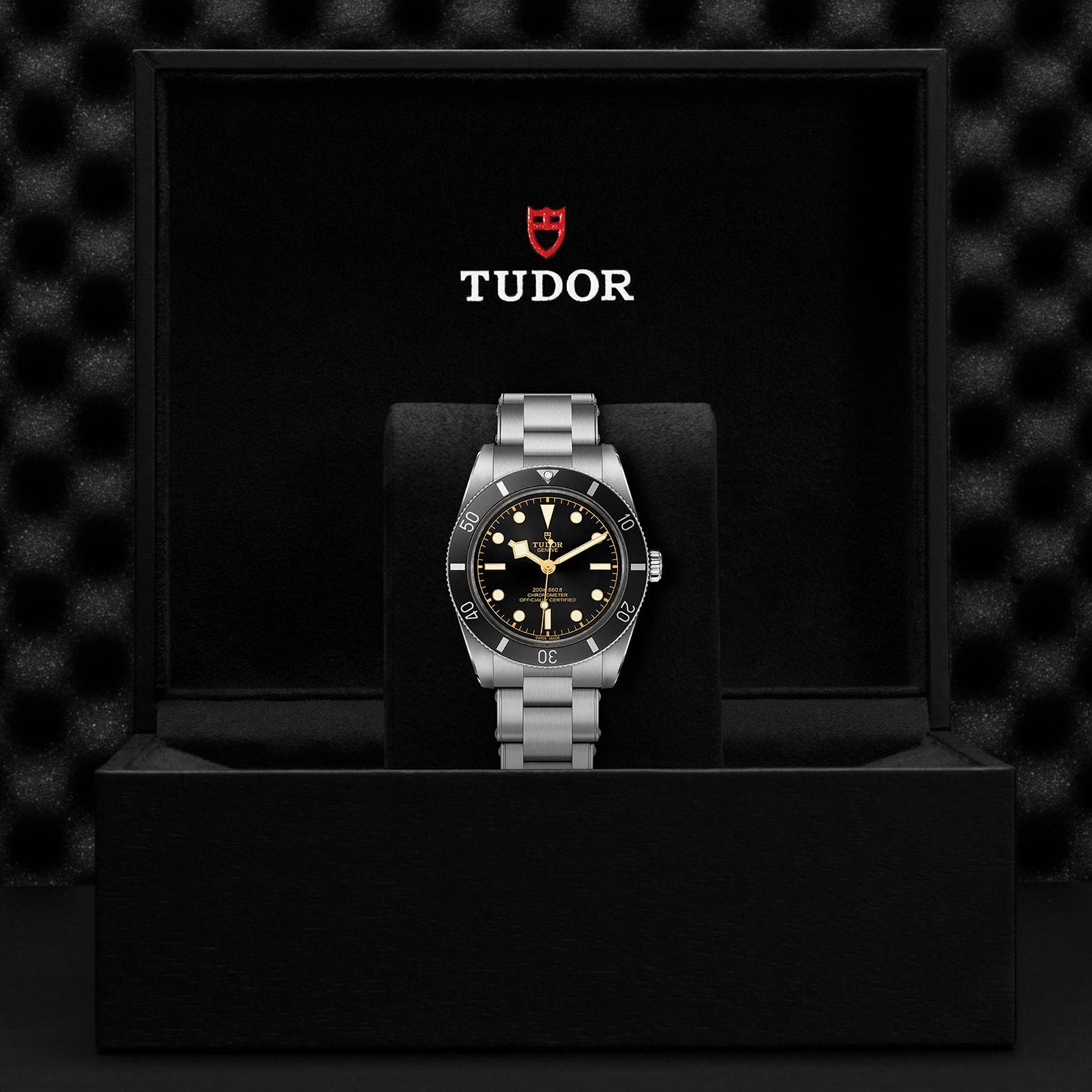 A TUDOR Black Bay 54 dive watch with a black dial and stainless steel band is displayed upright in a black, Tudor-branded presentation box.