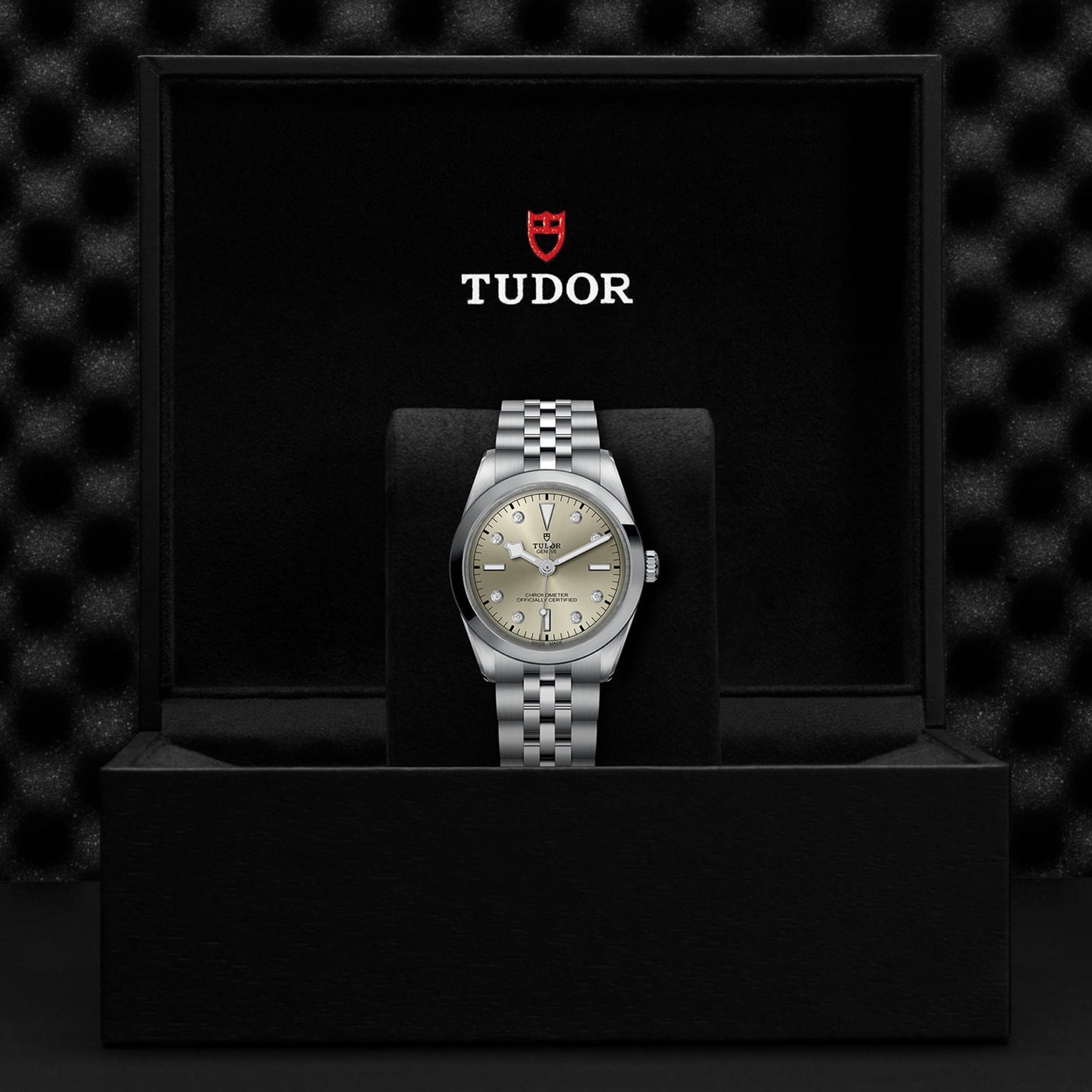A TUDOR Black Bay One 36 wristwatch with a silver dial and 316L steel bracelet is displayed upright in a black TUDOR box, reflecting the refined craftsmanship of Black Bay models.