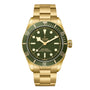 The TUDOR Black Bay 58 18K wristwatch features a green bezel and dial with gold hour markers and a metal bracelet.