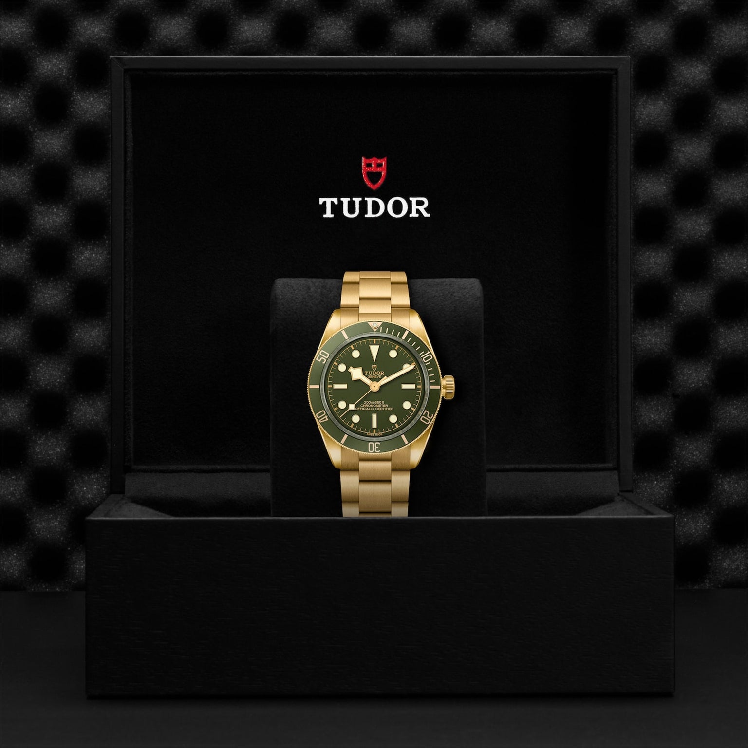 The TUDOR Black Bay 58 18K gold dive watch with a green dial is shown upright in an open black presentation box bearing the TUDOR logo.