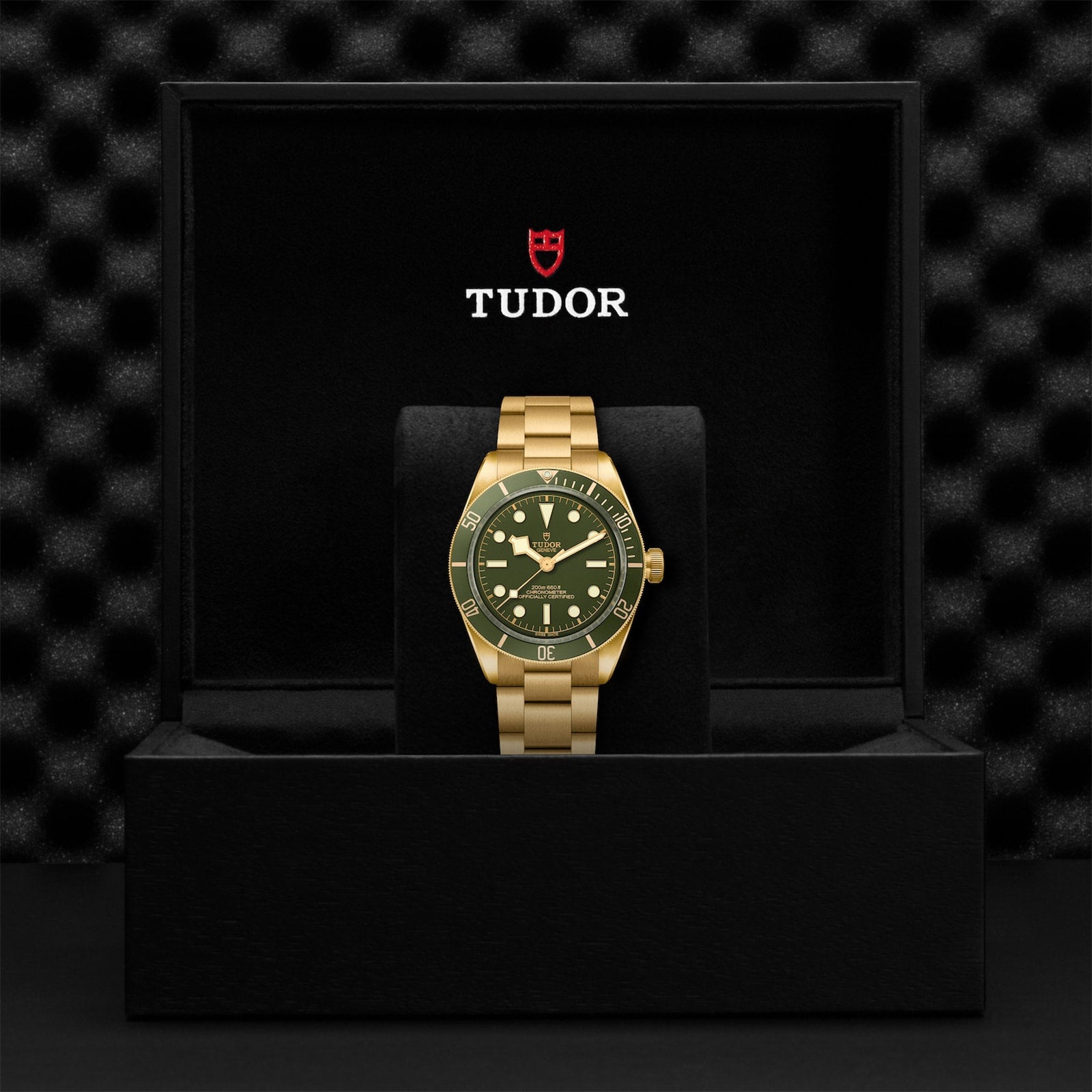 The TUDOR Black Bay 58 18K gold dive watch with a green dial is shown upright in an open black presentation box bearing the TUDOR logo.