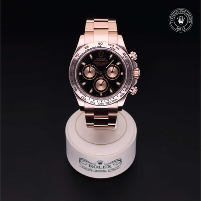 Rolex Certified Pre-owned Daytona M116505-0008 front on black background