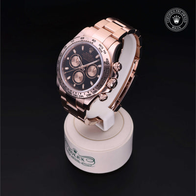 Rolex Certified Pre-owned Daytona M116505-0008 front on black background