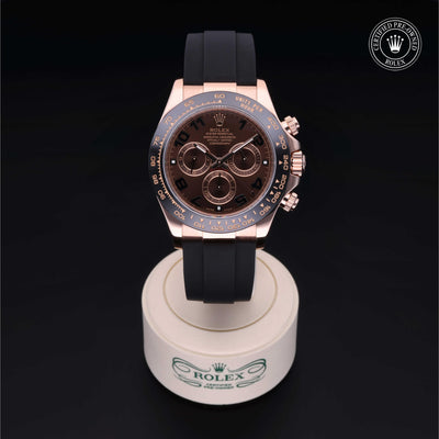 Rolex Certified Pre-owned Daytona M116515LN-0015 front on black background