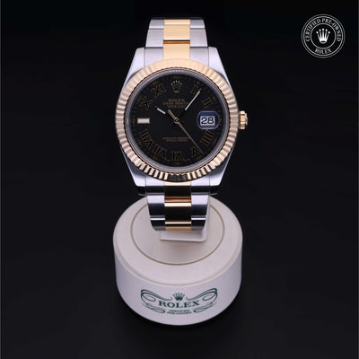 Rolex Certified Pre-owned Datejust M116333-0002 front on black background