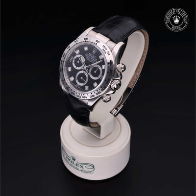 Rolex Certified Pre-owned Daytona M116519-0043 front on black background