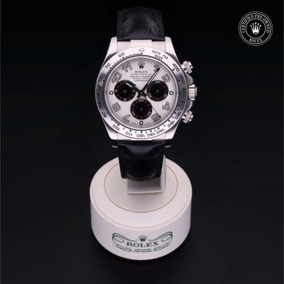 Rolex Certified Pre-owned Daytona M116519-0167 front on black background