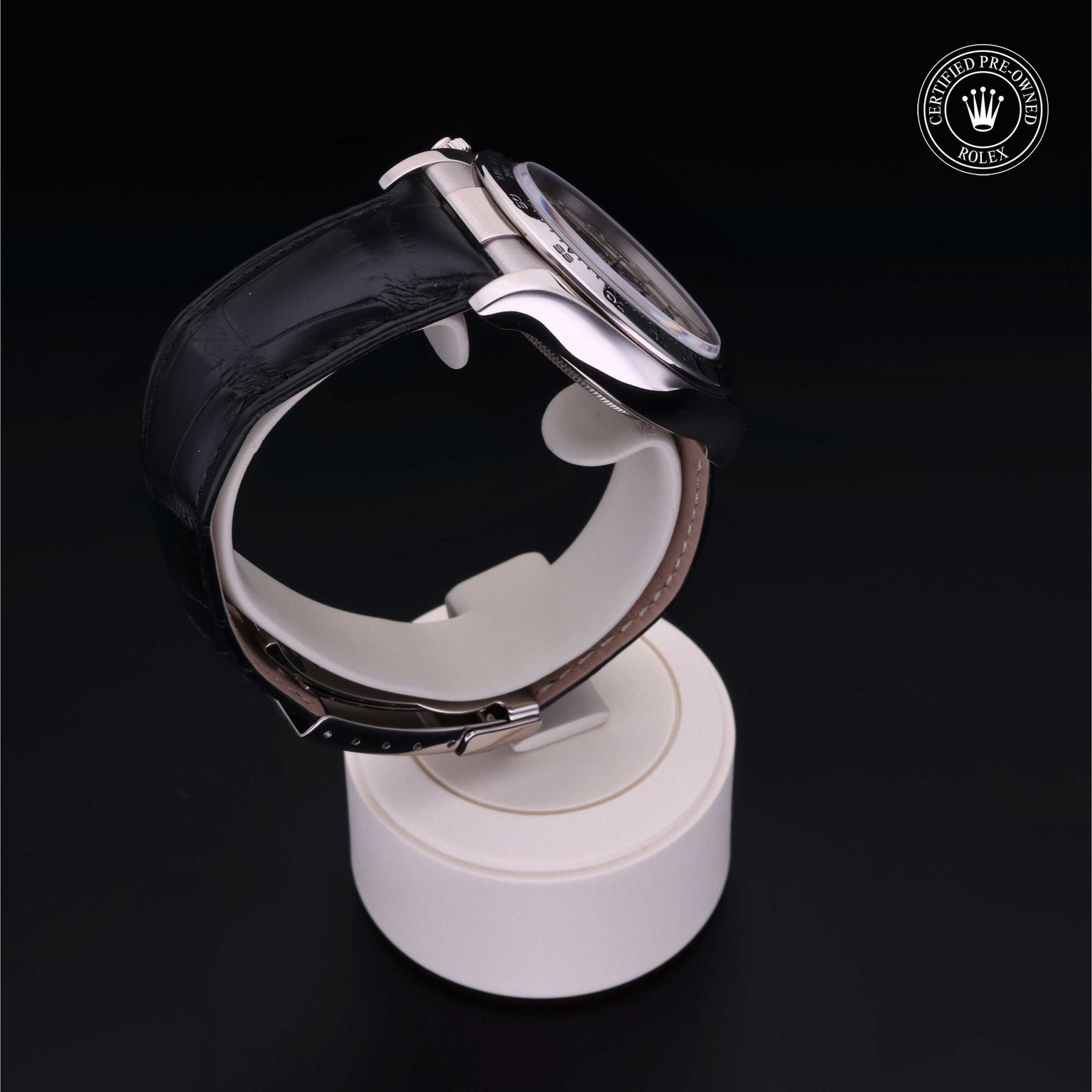 Rolex Certified Pre-owned Daytona M116519-0167 front on black background