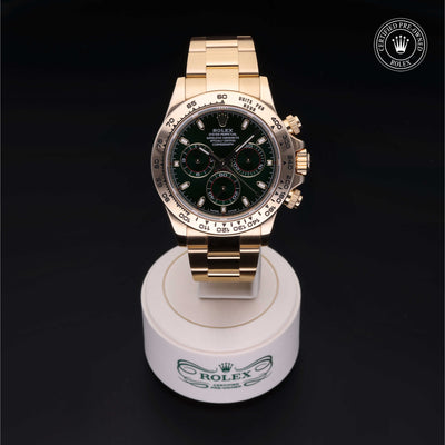 Rolex Certified Pre-owned Daytona M116508-0013 front on black background