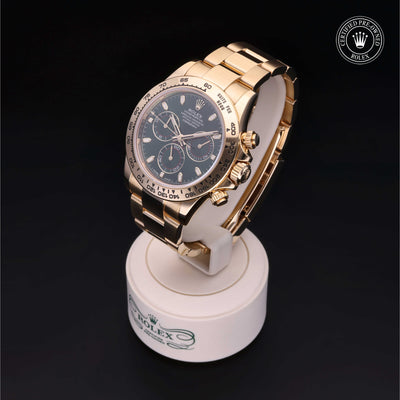Rolex Certified Pre-owned Daytona M116508-0013 front on black background