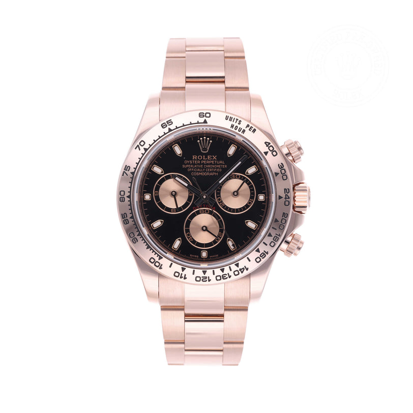 Rolex Certified Pre-owned Daytona M116505-0008 front on white background