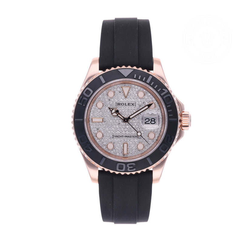 Rolex Certified Pre-owned Yacht-Master M116655-0005 front on white background