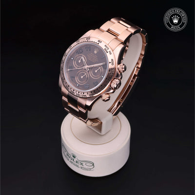 Rolex Certified Pre-owned Daytona M116505-0006 front on black background