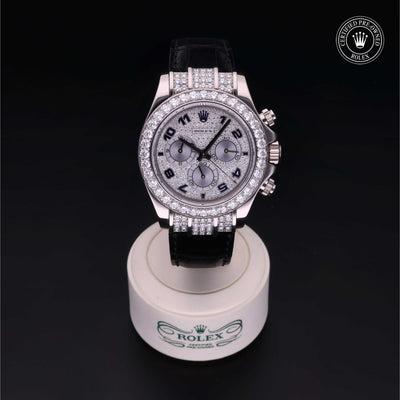 Rolex Certified Pre-owned Daytona M116599RBR-0024 front on black background