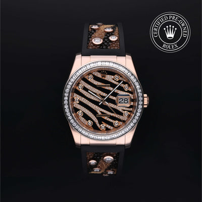 Rolex CPO Datejust M116185BBR front on white background