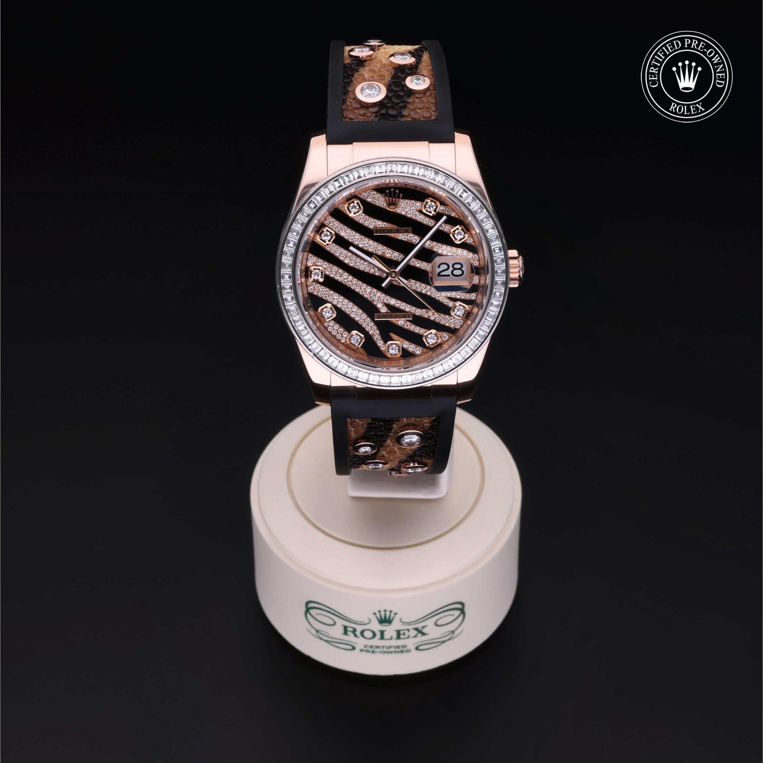Rolex CPO Datejust M116185BBR front on white background