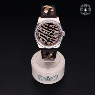 Rolex CPO Datejust M116185BBR front on white background