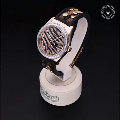 Rolex CPO Datejust M116185BBR front on white background
