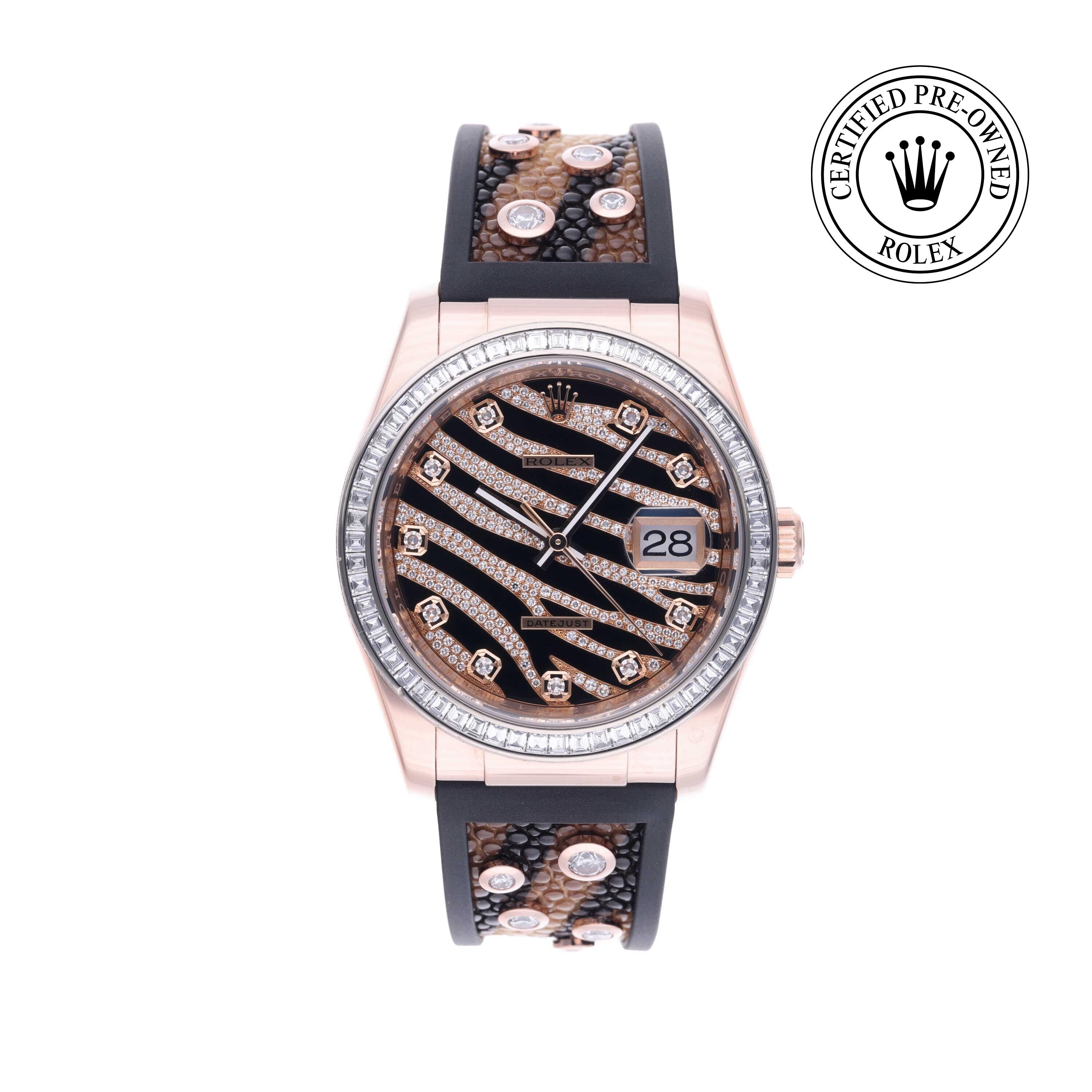 Rolex CPO Datejust M116185BBR front on white background