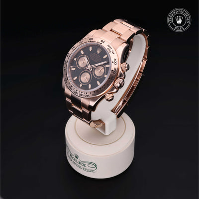 Rolex Certified Pre-owned Daytona M116505-0002 front on black background