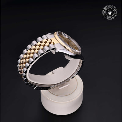Rolex CPO Datejust M16233 front on white background