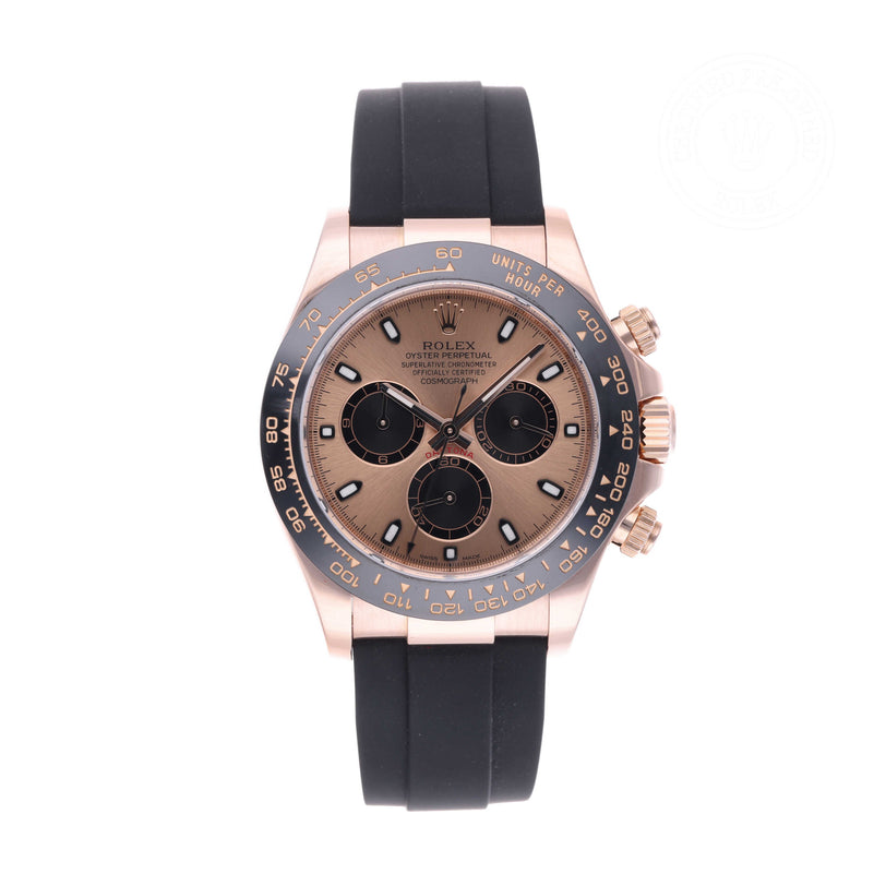 Rolex Certified Pre-owned Daytona M116515LN-0013 front on white background