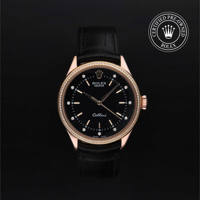 Rolex CPO Cellini M50605RBR front on white background