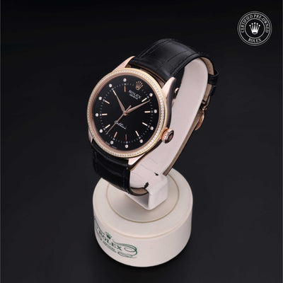 Rolex CPO Cellini M50605RBR front on white background
