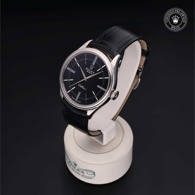 Rolex CPO Cellini M50509 front on white background