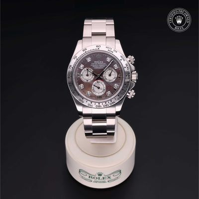 Rolex Certified Pre-owned Daytona M116509-0044 front on black background