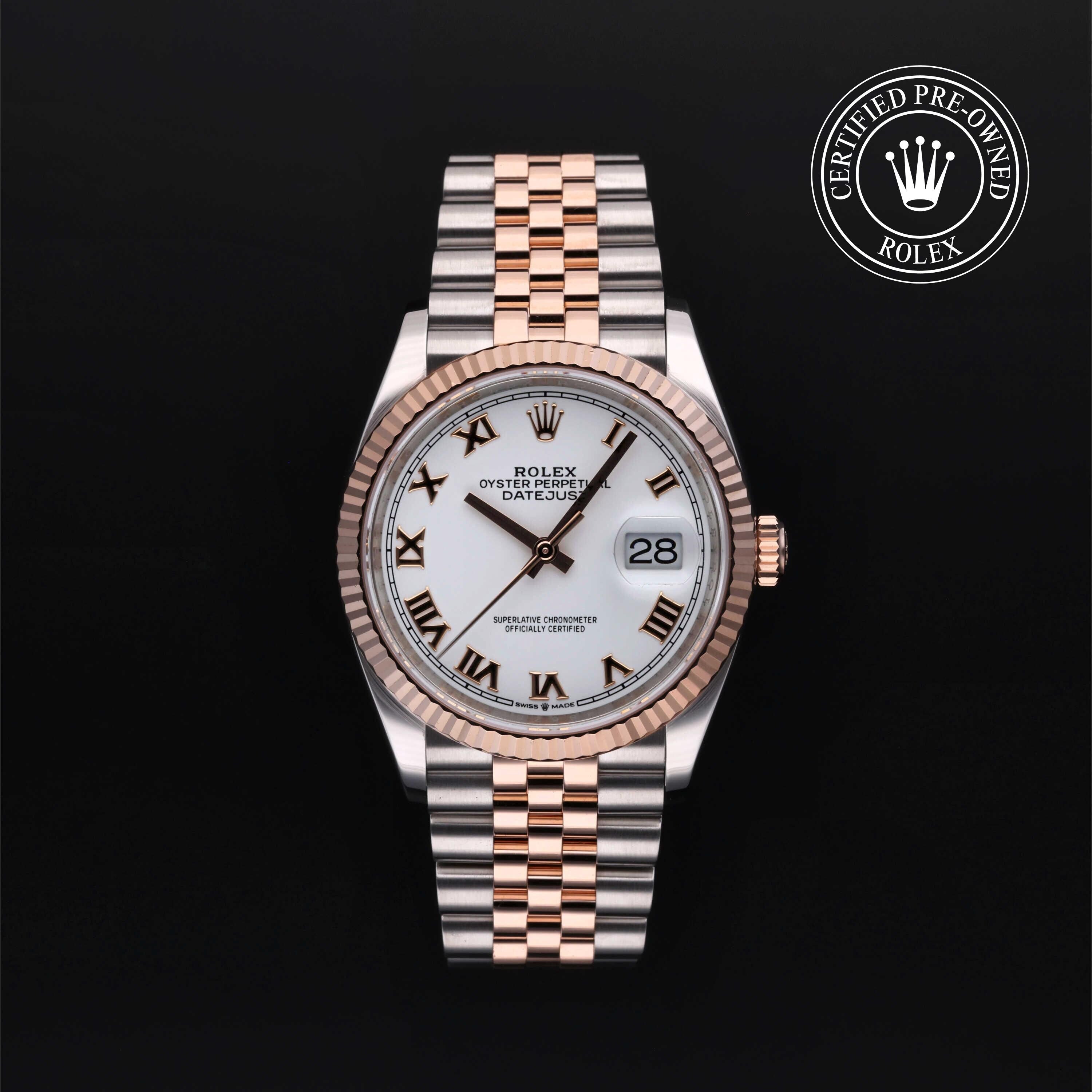 Rolex CPO Datejust M126231 front on white background