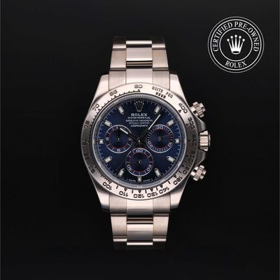 Rolex CPO Daytona M116509 front on white background