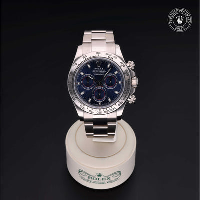 Rolex CPO Daytona M116509 front on white background