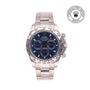 Rolex CPO Daytona M116509 front on white background