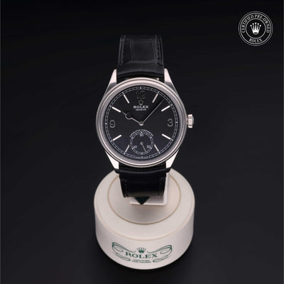 Rolex CPO Perpetual 1908 M52509 front on white background