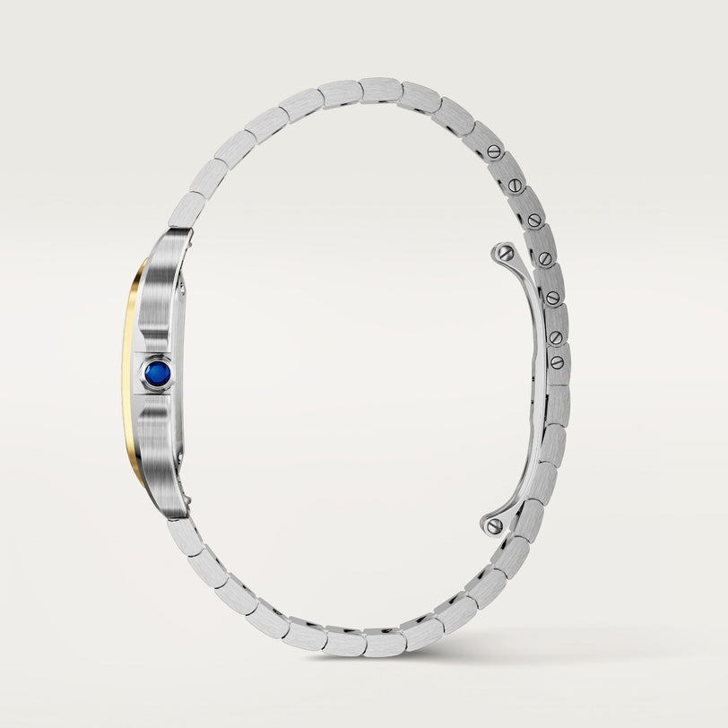 Santos De Cartier Watch