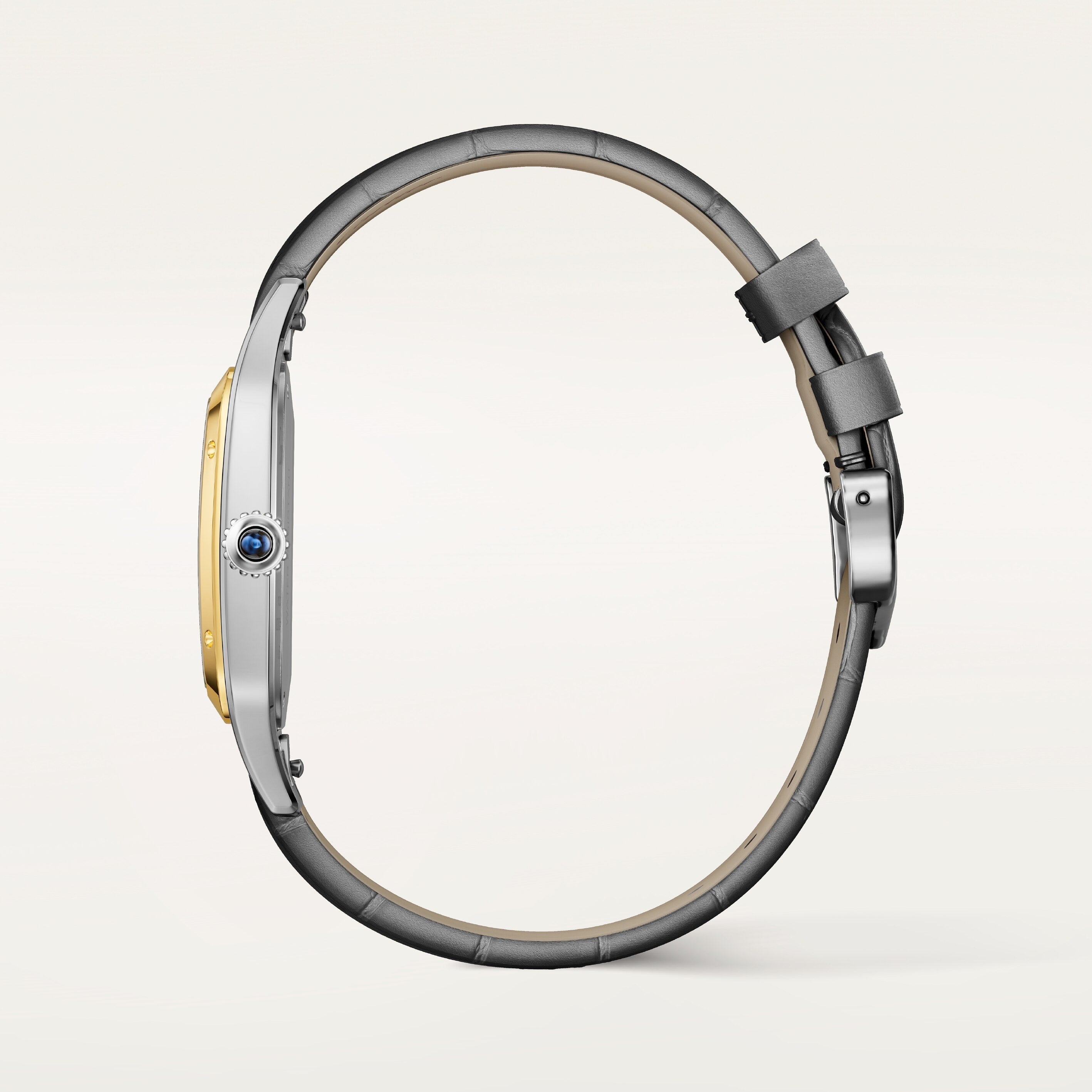 Cartier Santos-dumont Large Model W2SA0046 view 3