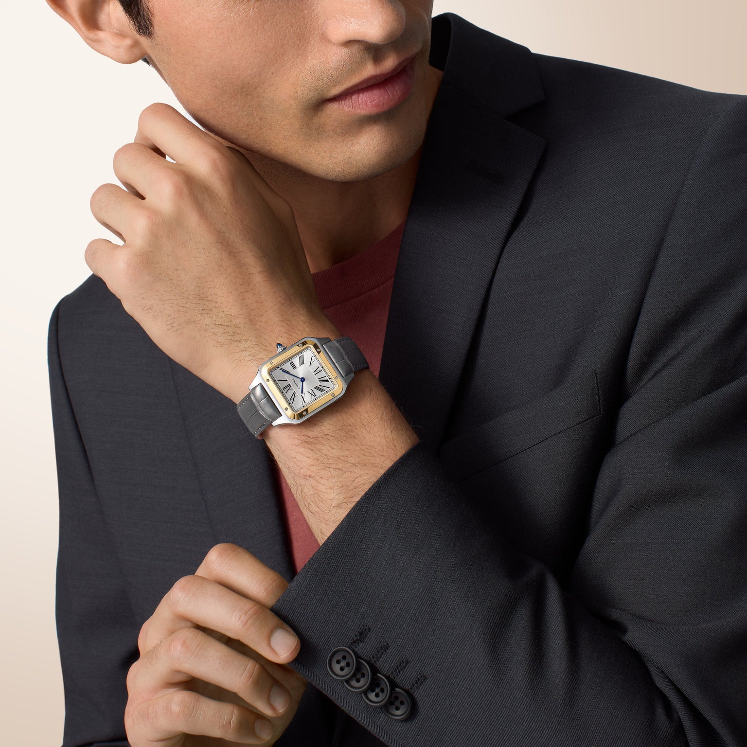 Cartier Santos-dumont Large Model W2SA0046 view 7