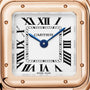Cartier Panthère de Cartier Small Model WGPN0060 view 2