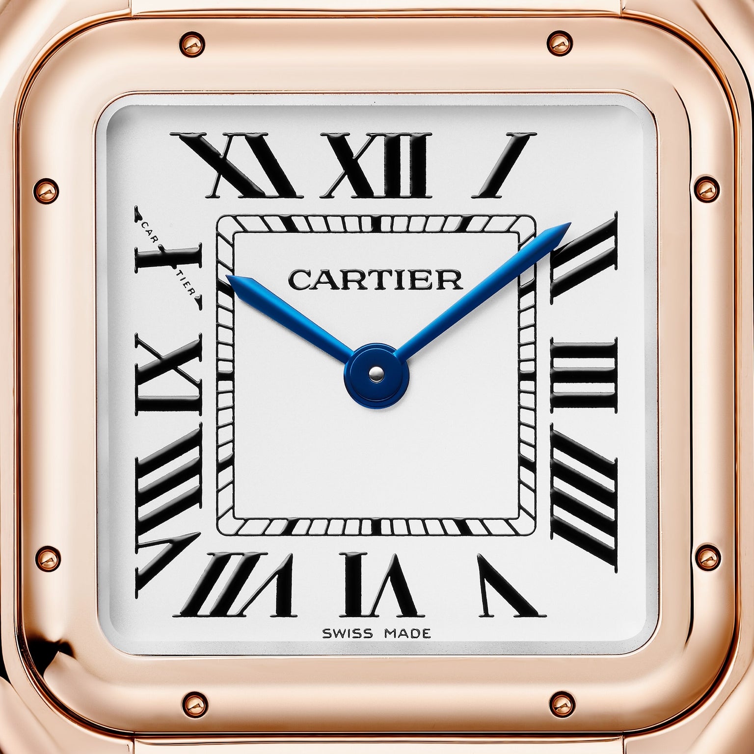 Cartier Panthère de Cartier Medium Model WGPN0061 view 2