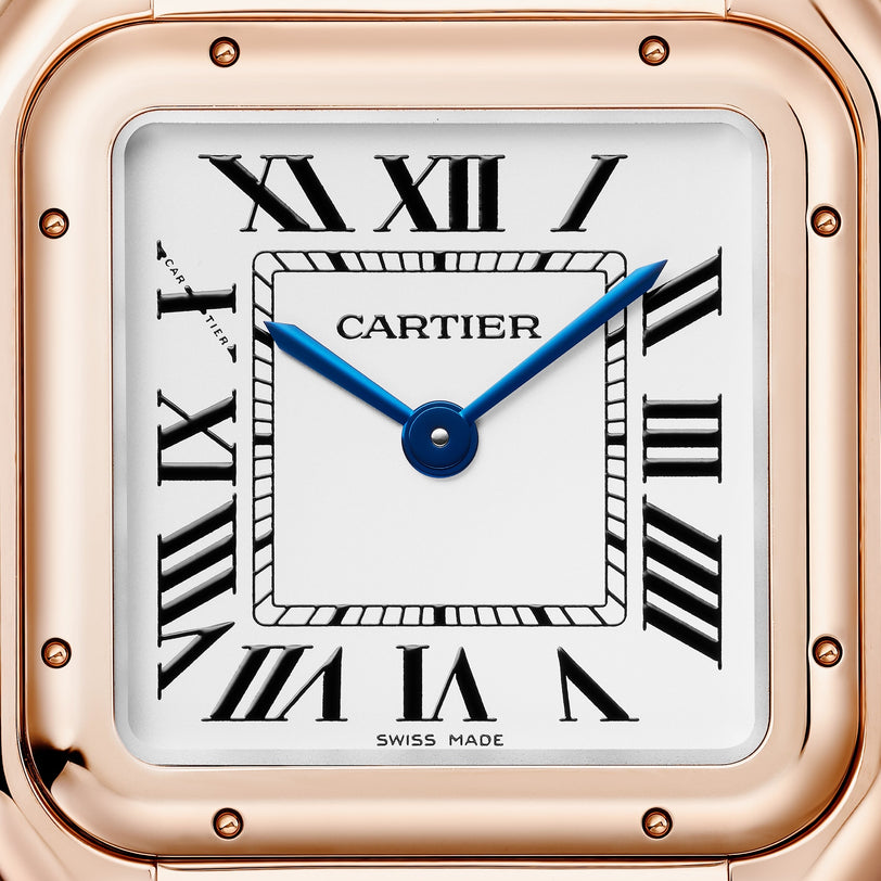 Cartier Panthère de Cartier Medium Model WGPN0061 view 2
