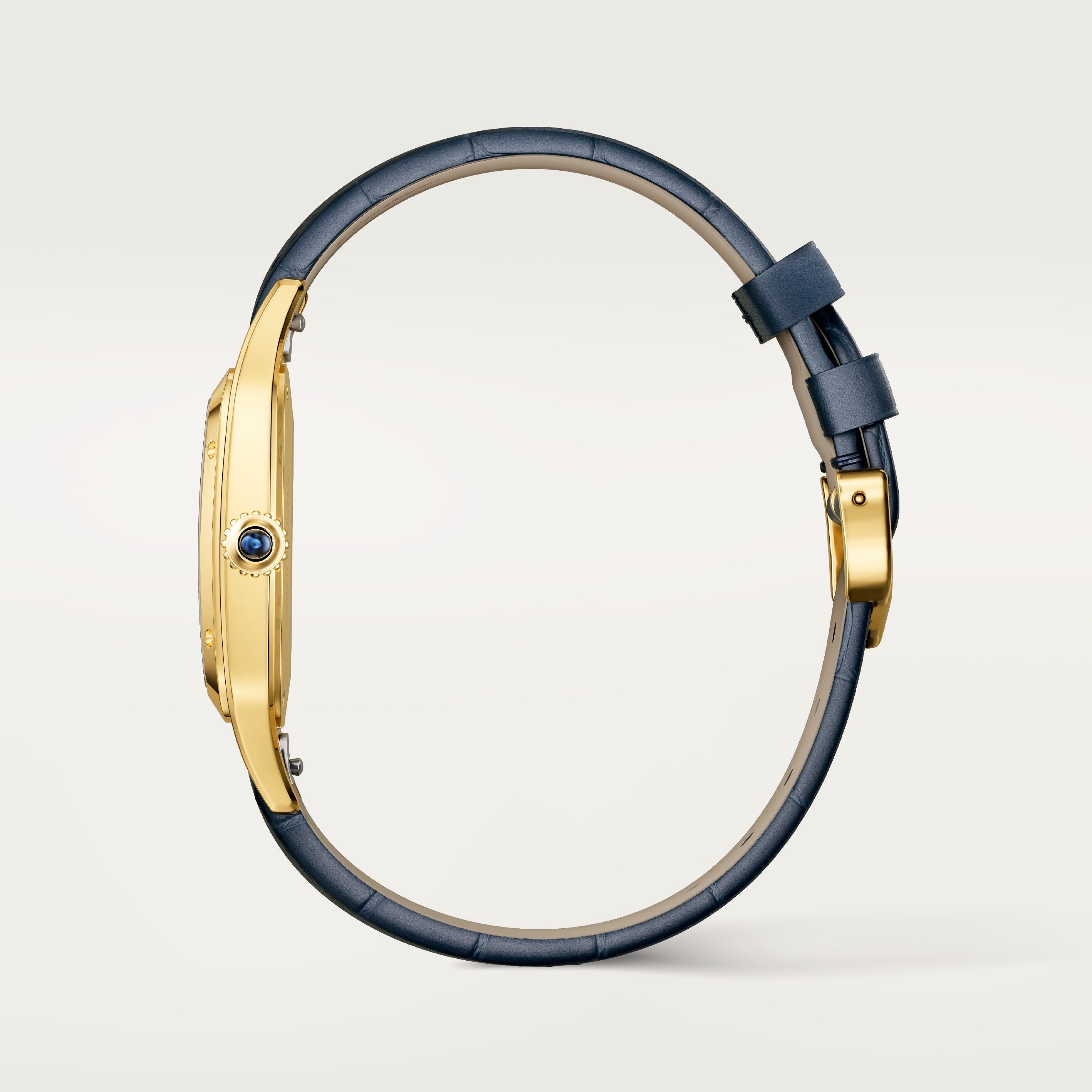 Cartier Santos-dumont Large Model WGSA0139 view 3